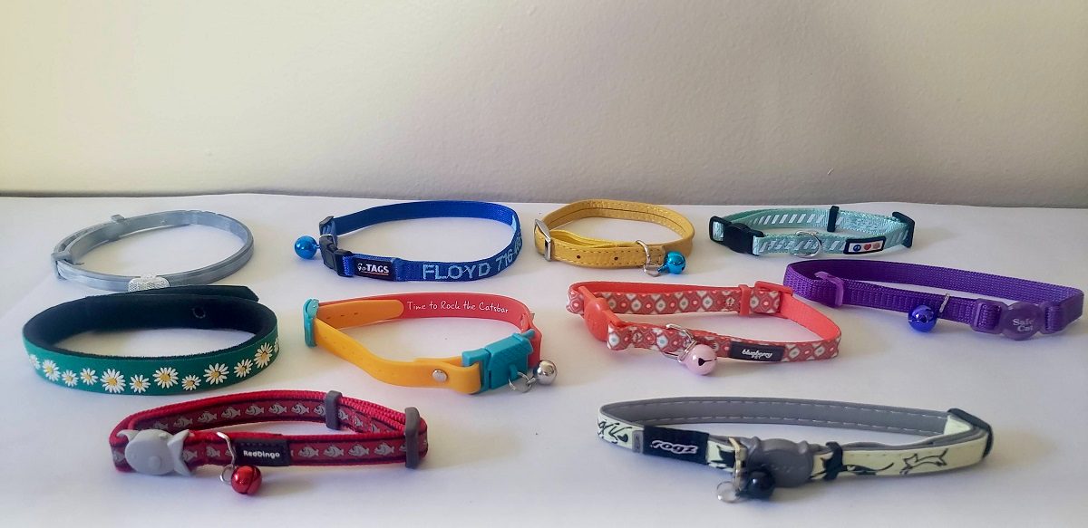 Best Cat Collars