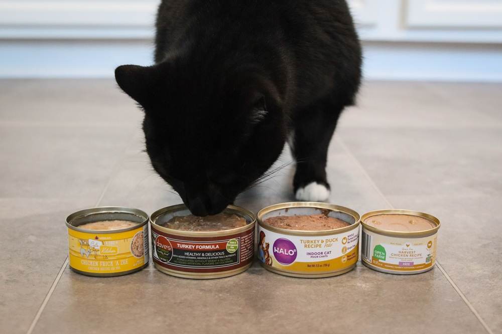Best Wet Canned Cat Food 2025 Review Roundup Approach Taste Test