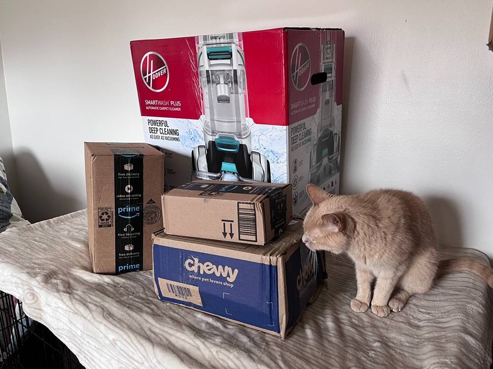 Best_cat_urine_products