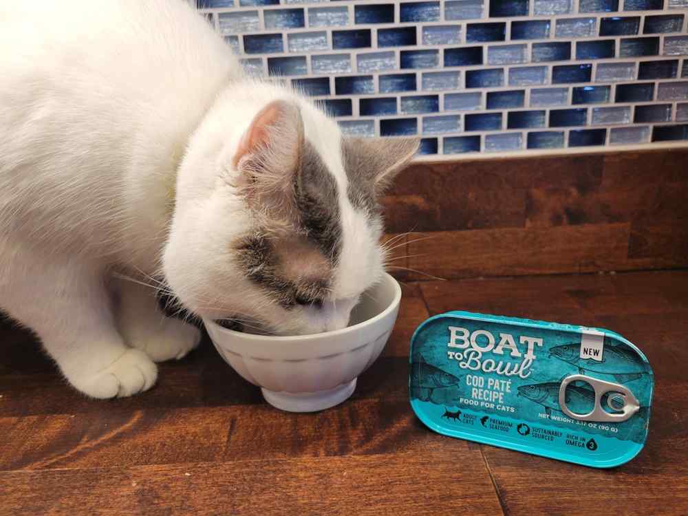 Boat to Bowl Cod Paté Recipe Wet Cat Food