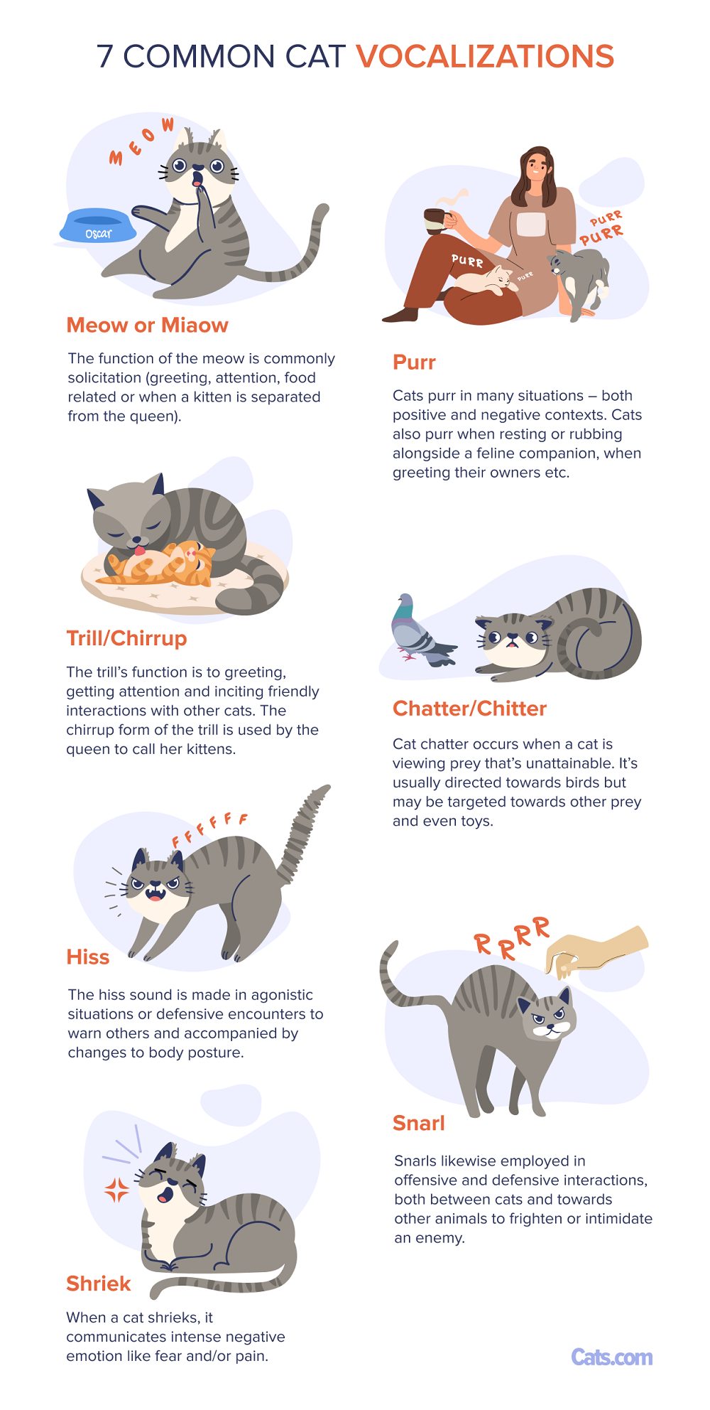 List of Vocalizations Made by Cats