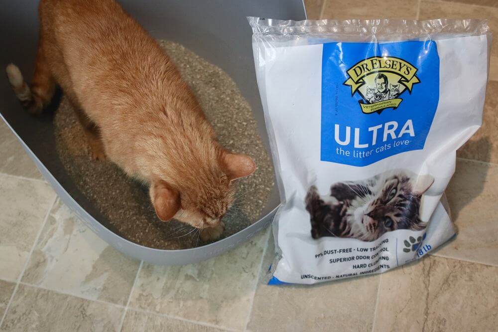 Dr. Elsey’s Precious Cat Ultra Clumping Cat Litter