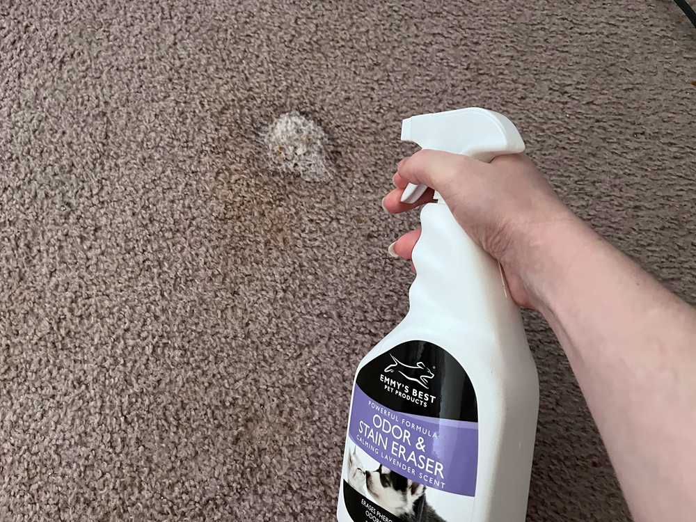 Emmy’s Best Pet Products Enzyme-Based Pet Odor and Stain Eraser