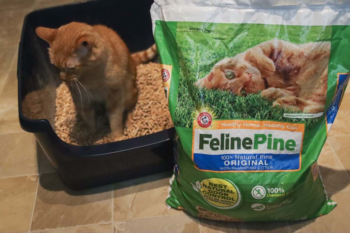 Feline Pine Original Natural Wood Non Clumping Cat Litter-16