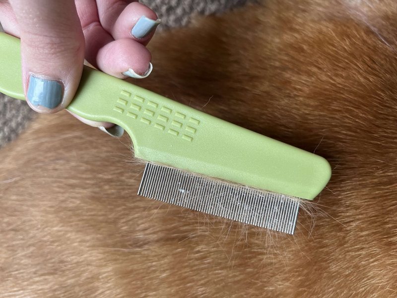 Safari Flea Comb for Cats
