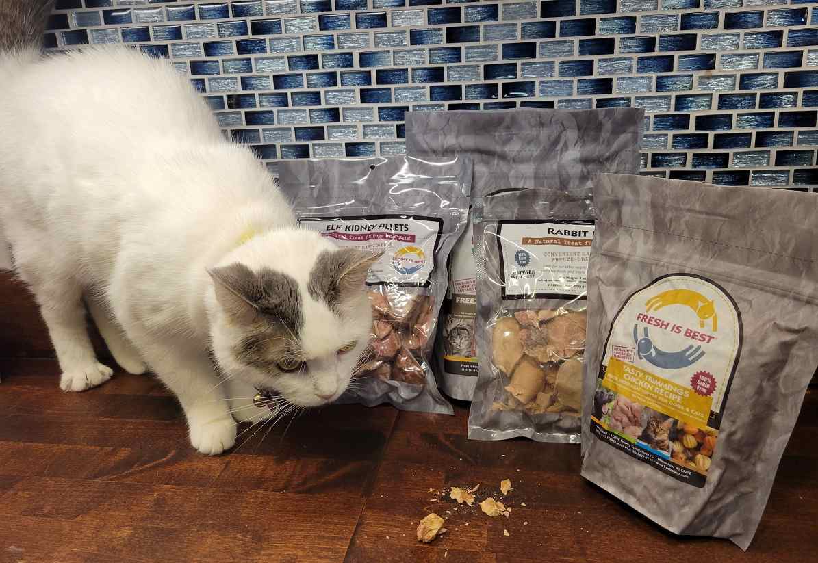 Fresh Is Best Cat Food