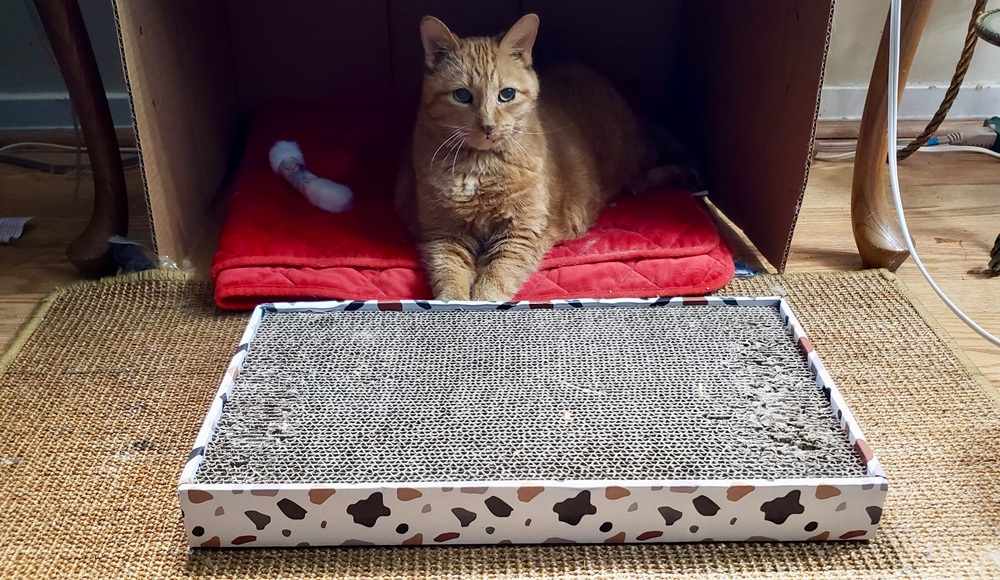 Frisco Double-Wide Cat Scratcher
