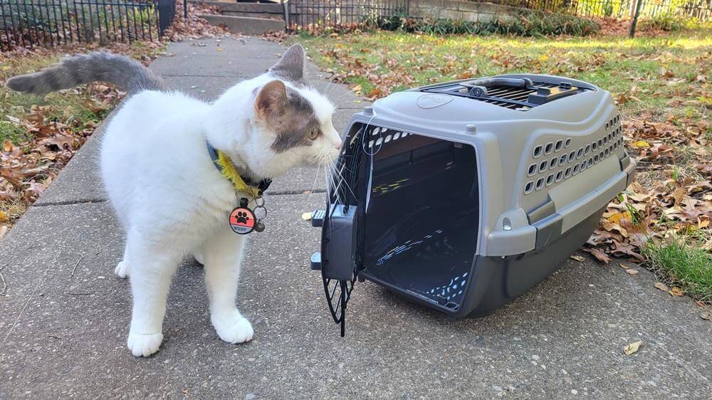 Frisco Two Door Top Load Plastic Pet Kennel