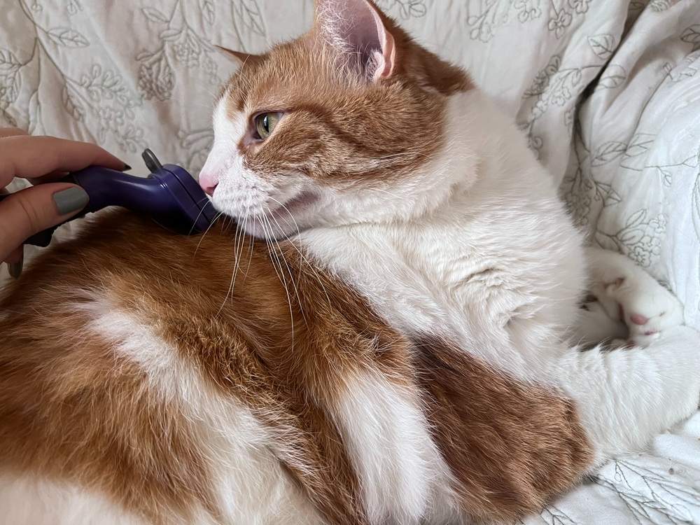 FURminator Long Hair Cat Deshedding Tool