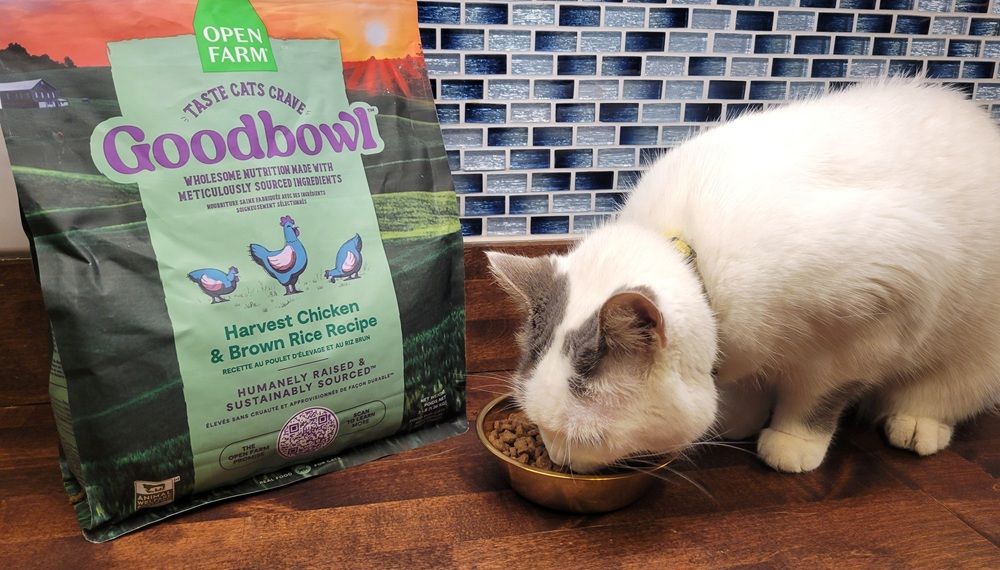 Goodbowl Harvest Chicken & Brown Rice Dry Cat Food