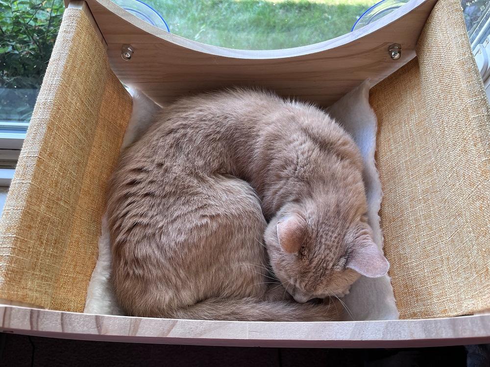 HAPYKITYS Window Cat Bed Moon Perch