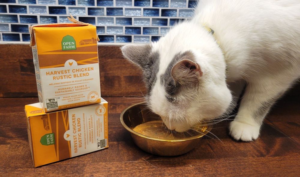 Harvest Chicken Rustic Blend Wet Cat Food-compressed