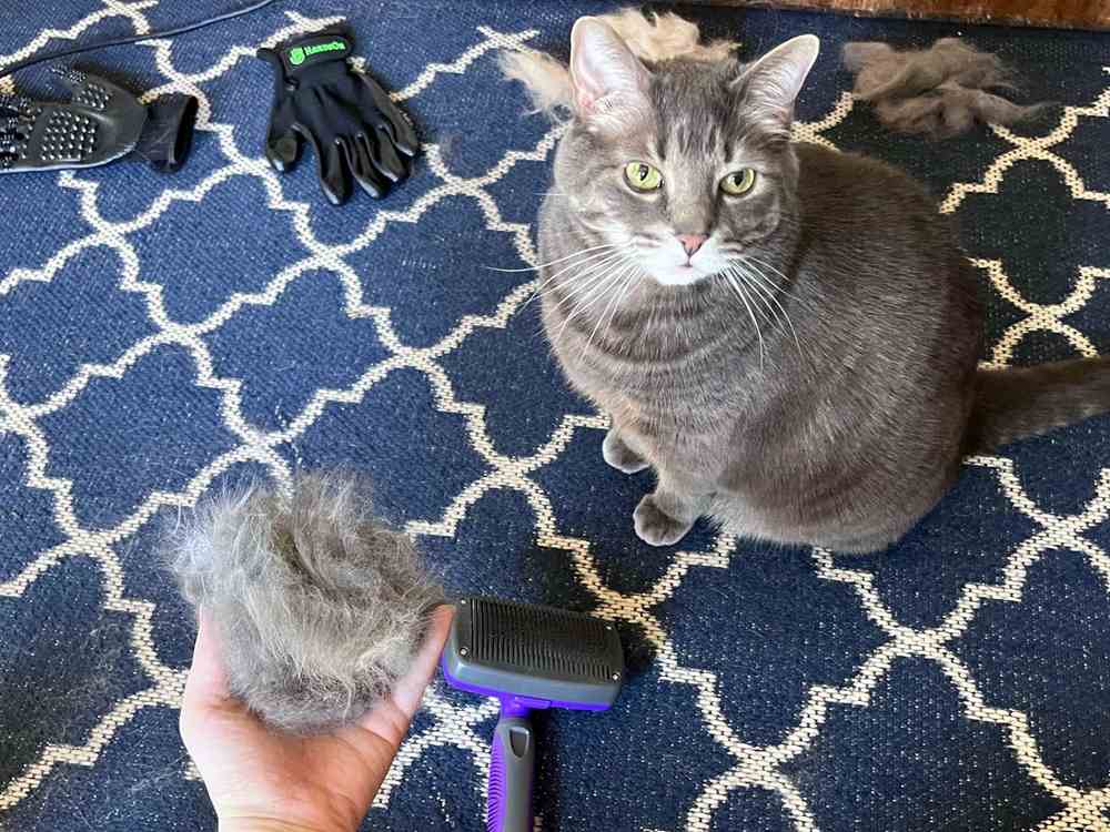 Hertzko Self-Cleaning Slicker Brush