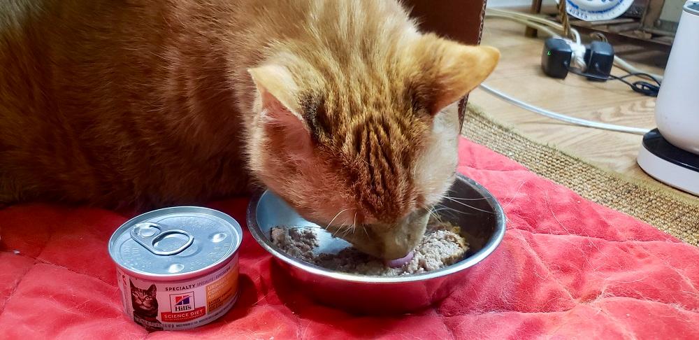 Hill's Science Diet Urinary Hairball Control Savory Chicken Entree