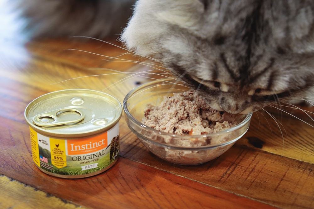 Instinct Original Chicken Pate