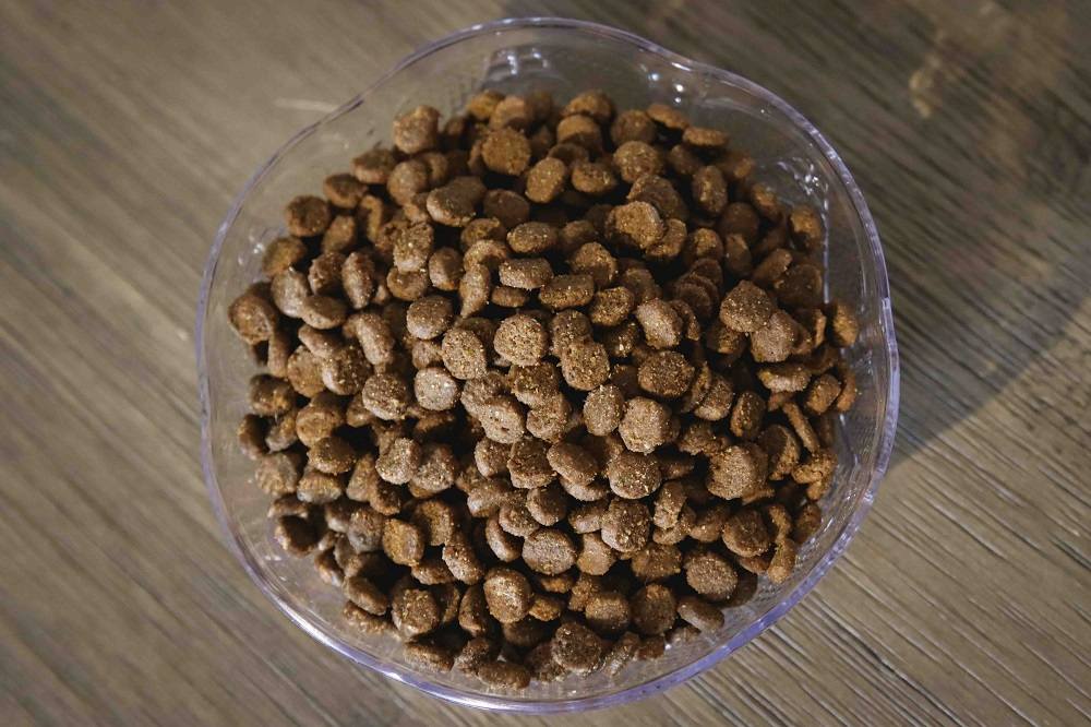 Instinct Original Grain-Free with Real Chicken Freeze-Dried Raw Coated Cat Food