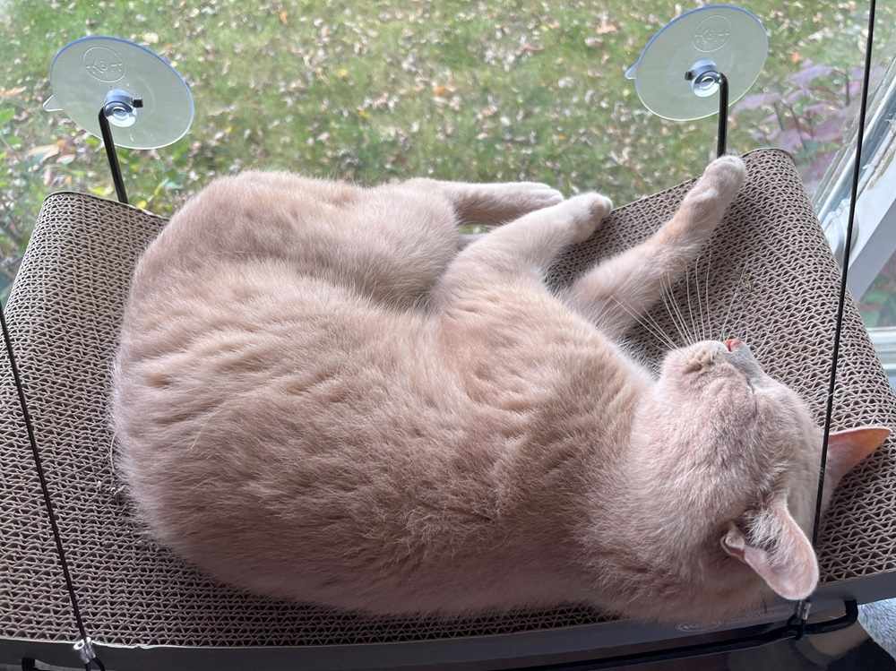 K&H EZ Mount Window Scratcher