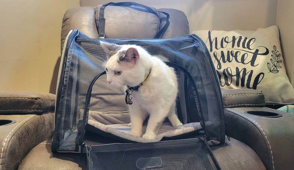 K&H Pet Products Travel Safety Pet Carrier