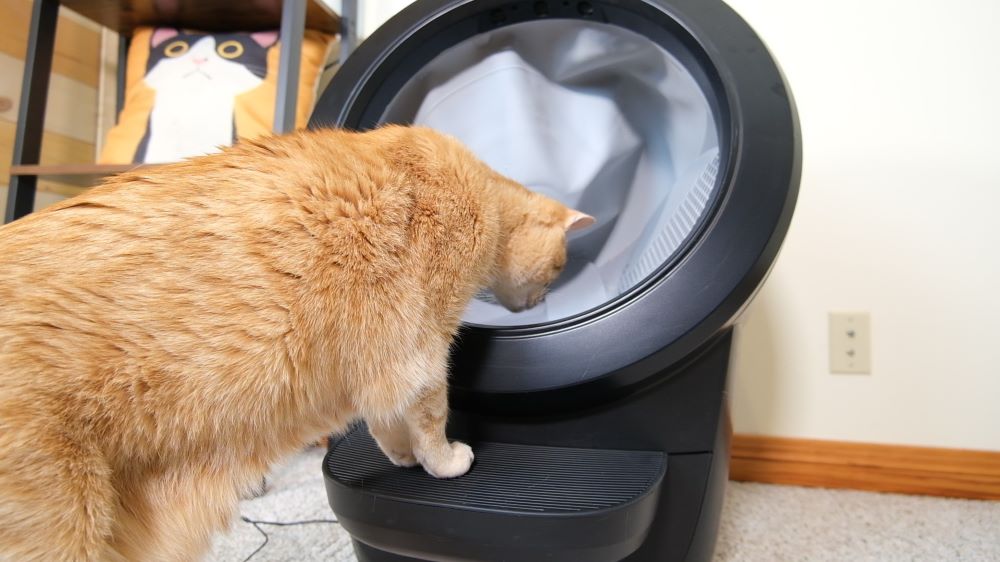 Wessie exploring the new sensor system