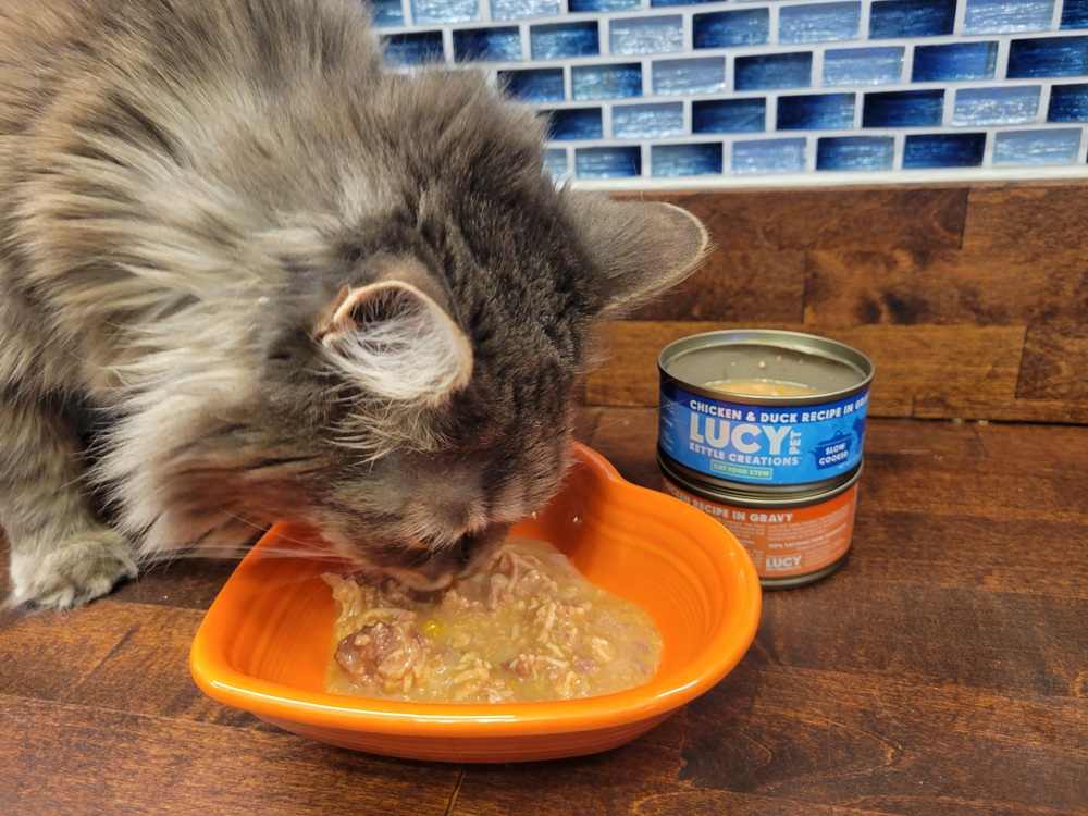 Lucy Pet Kettle Creations Chicken & Duck Recipe in Gravy