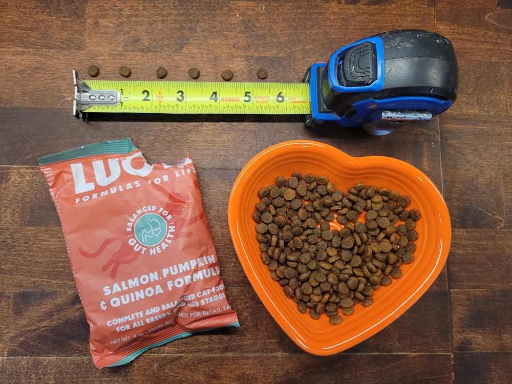 Lucy Pet Salmon, Pumpkin & Quinoa Limited Ingredient Formula Dry Cat Food