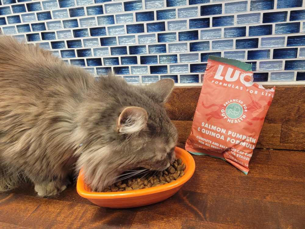 Lucy Pet Salmon, Pumpkin & Quinoa Limited Ingredient Formula Dry Cat Food
