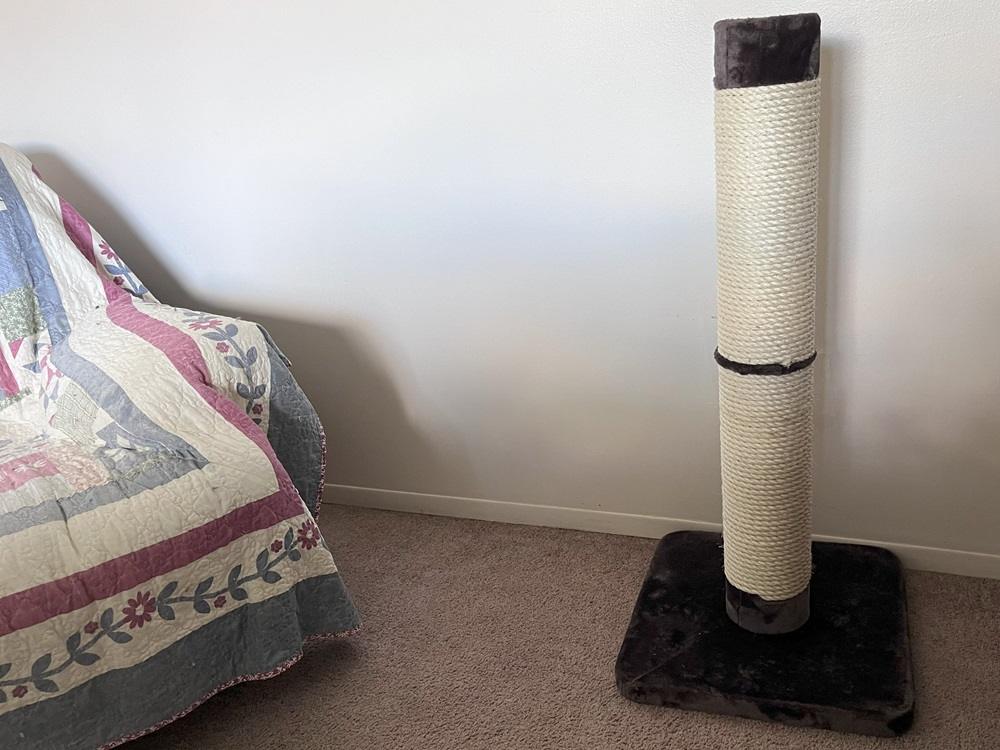 MidWest Feline Nuvo Grand Forte