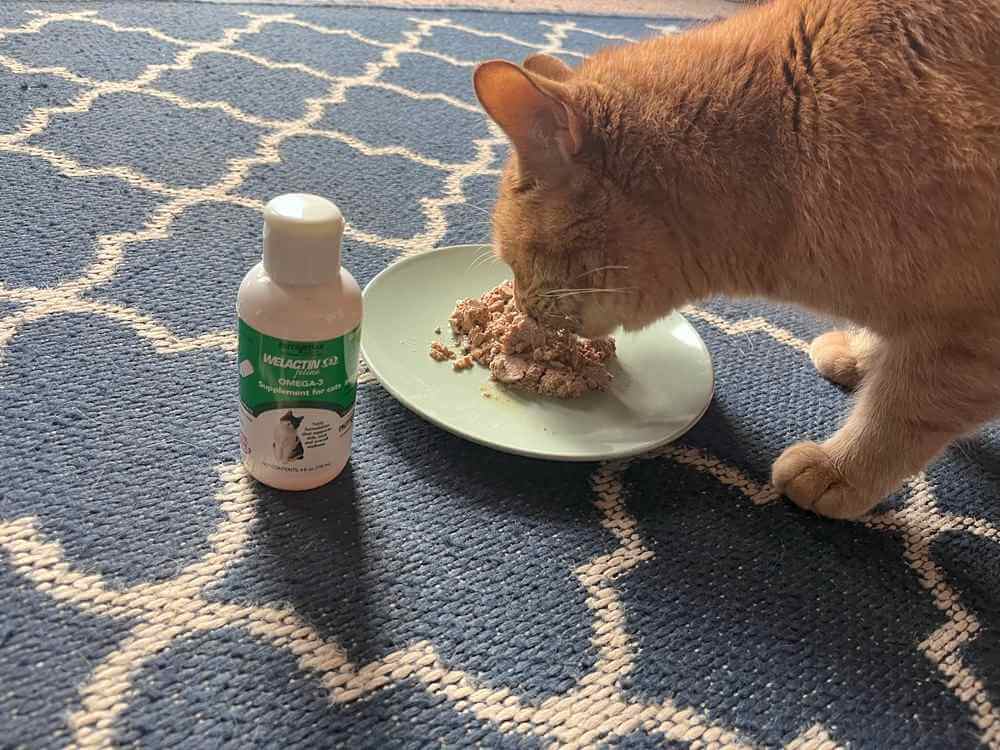 Nutramax Welactin Omega-3 Fish Oil