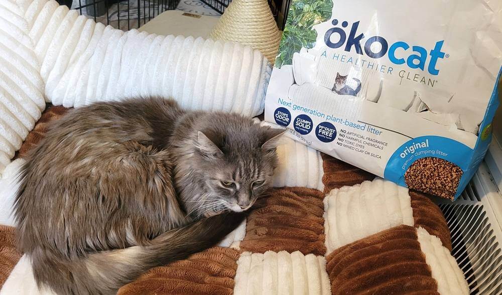 Okocat Original Premium Wood Clumping Cat Litter