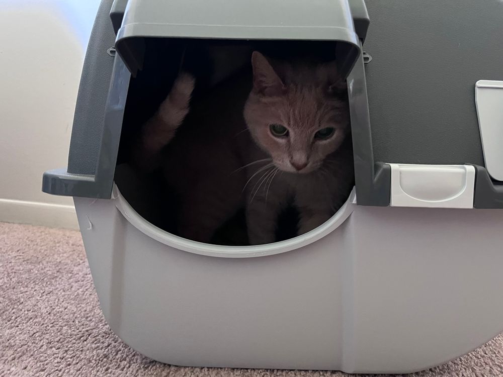 Omega Paw Roll’N Clean Cat Litter Box