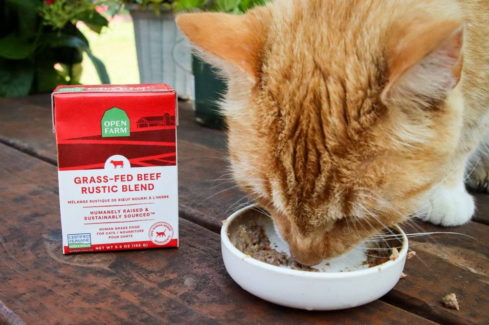 Open Farm Grass Fed Beef Rustic Blend Wet Cat Food