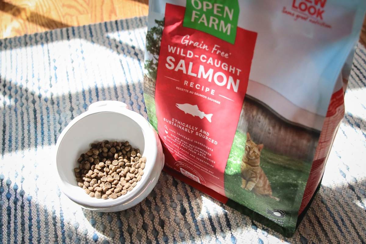 Open Farm Wild Caught Salmon Dry Kibble Cat Food