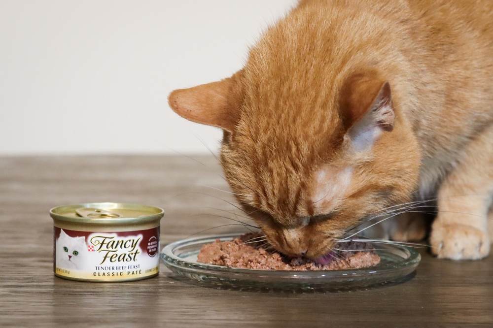 Fancy Feast Wet Canned Cat Food Tender Beef Feast Classic Pate-3