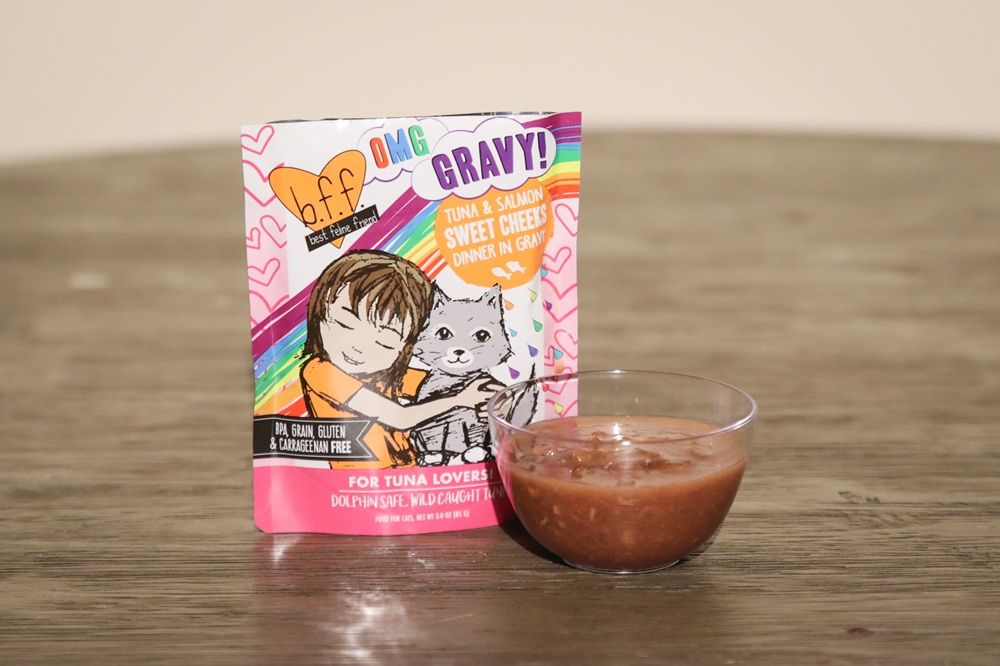 Orange Short Hair Tabby Eating BFF Wet Cat Food Tuna & Salmon Sweet Cheeks Dinner In Gravy