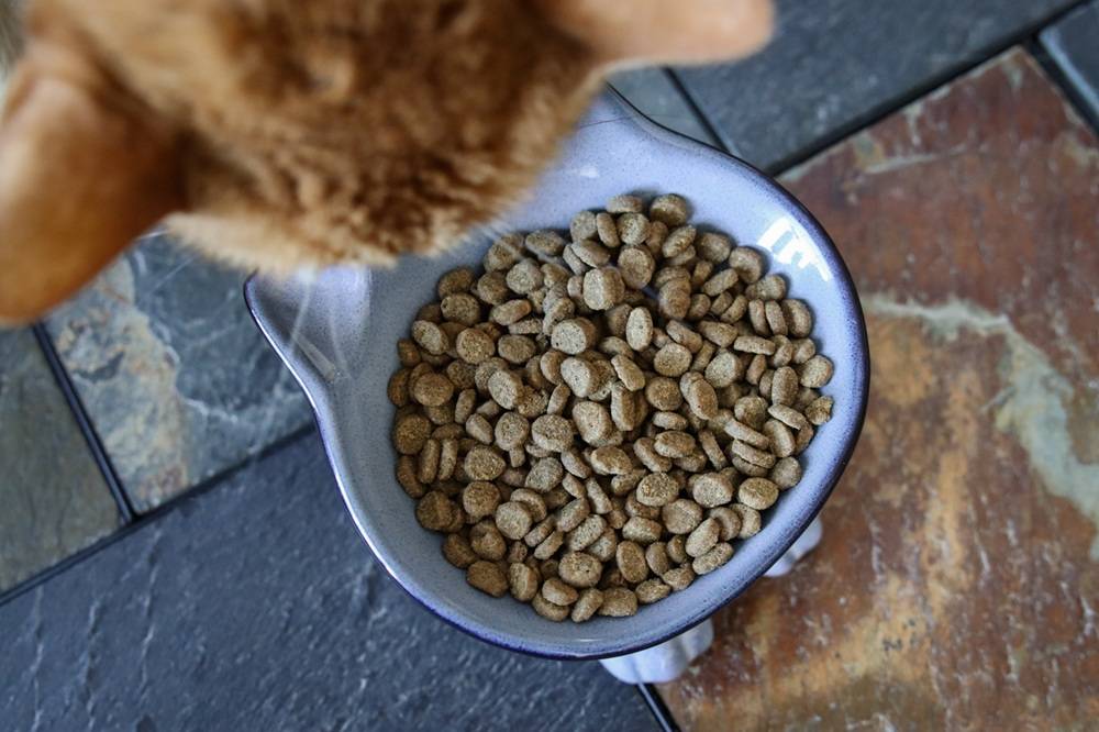 Orijen Fit & Trim Dry Kibble Cat Food