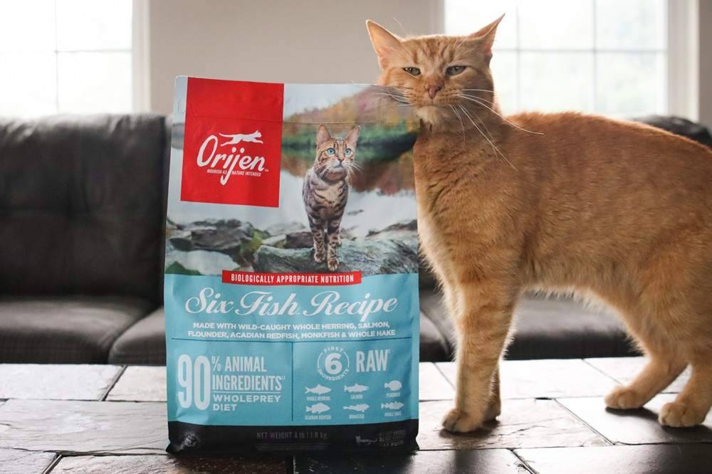 Orijen Six Fish Recipe Dry Cat Food