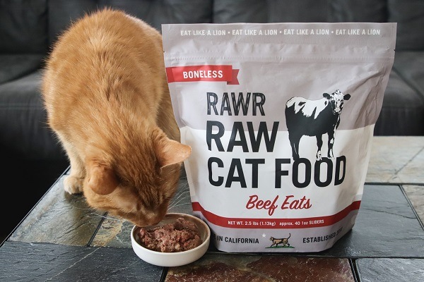 package of RAWR Beef Eats with ginger cat sniffing at the food