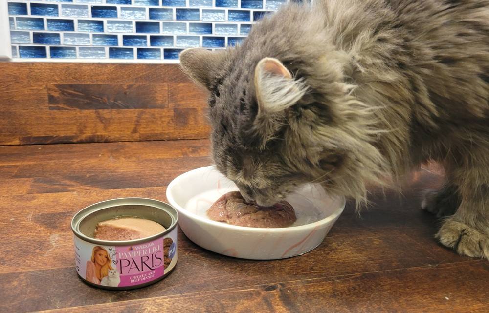 Pamper Like Paris Chicken and Beef Dinner in a Hydrating Puree Wet Cat Food