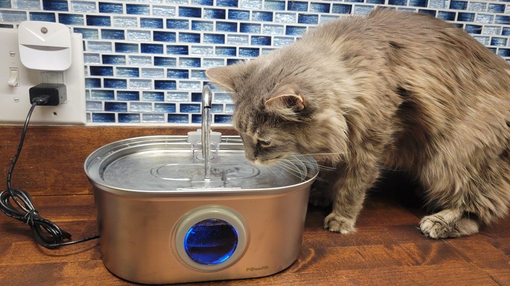 PawsPik SS-01 Stainless Steel Cat Fountain