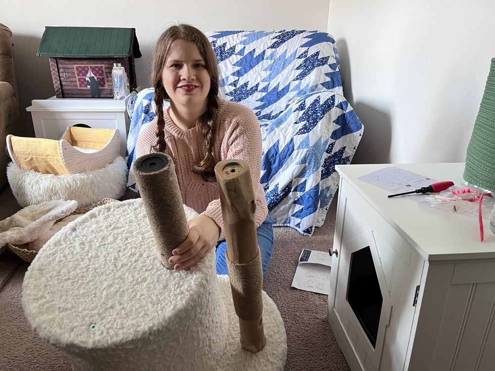 PAWZ Road Modern Luxury Cat Tree & Condo