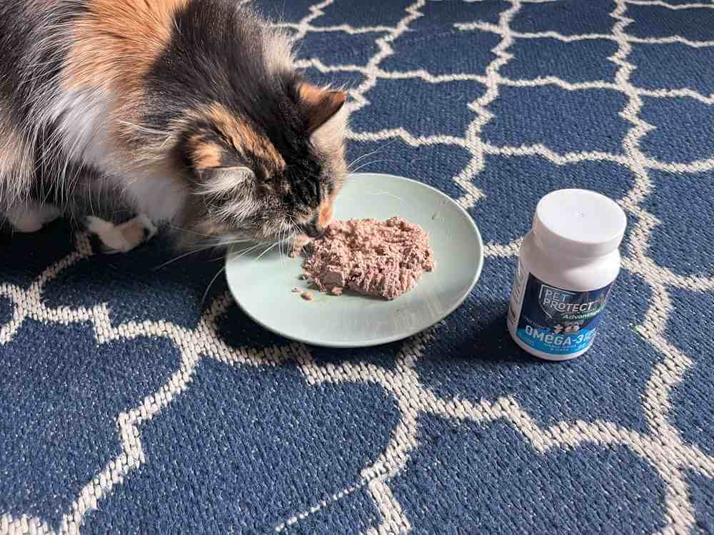 Pet Protect Omega-3 Snip-Top Capsule Supplements