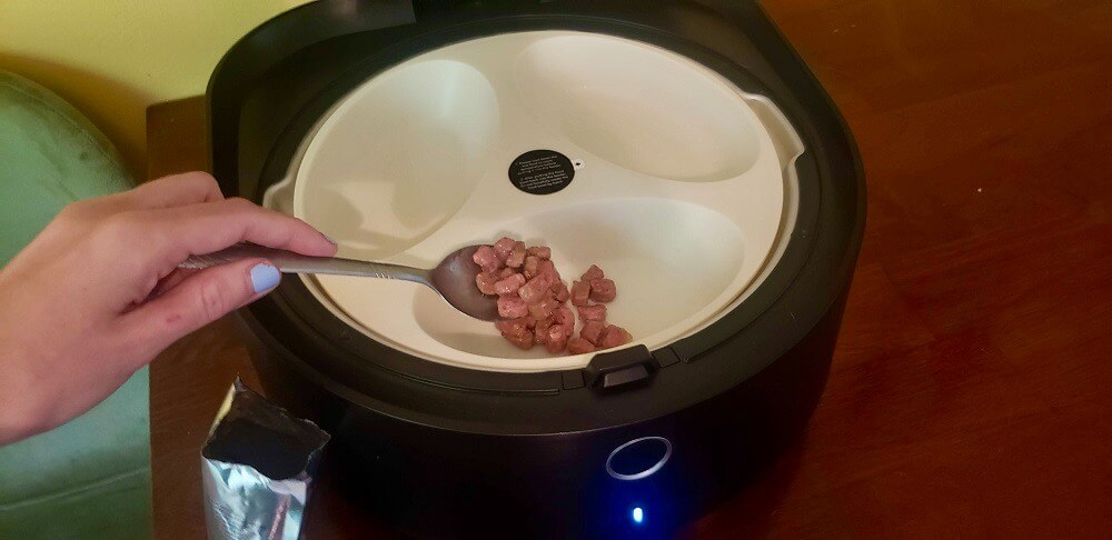 PetLibro Polar Wet Food Feeder