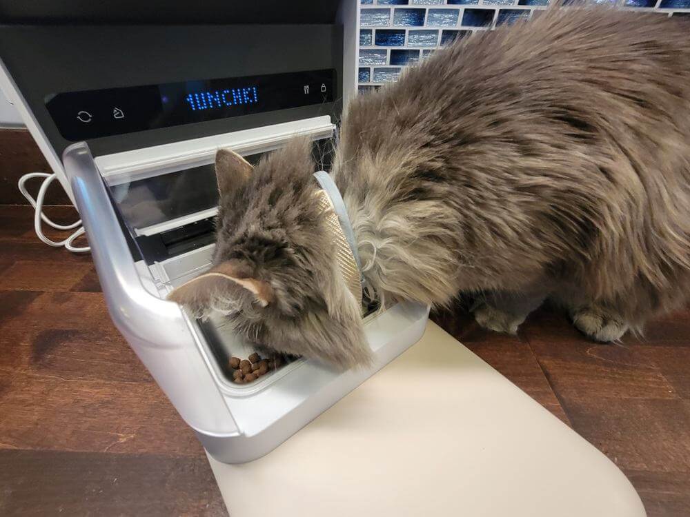 Petlibro One RFID Cat Feeder