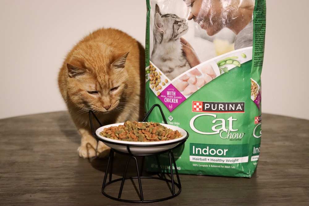 Purina Cat Chow Indoor Hairball & Healthy Weight Dry Kibble Cat Food