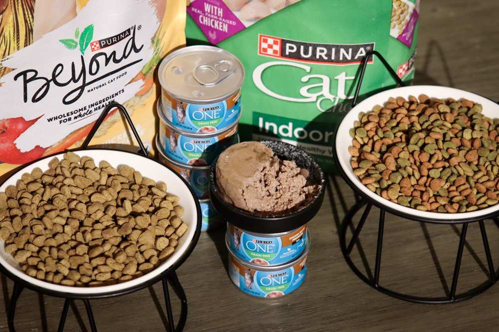 Purina Cat Food Review