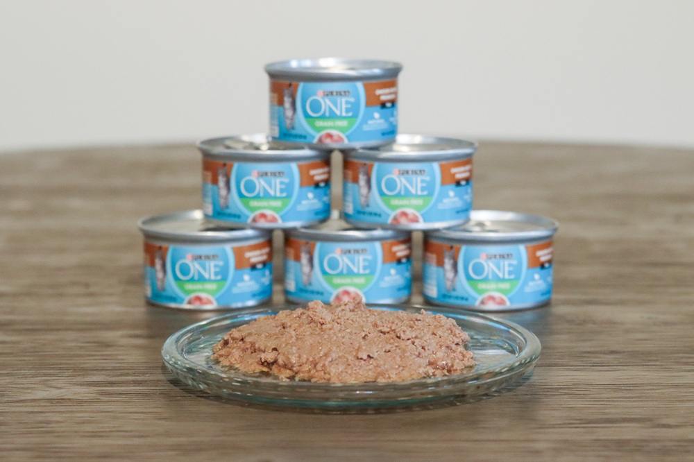 Purina One Chicken Recipe Premium Pate