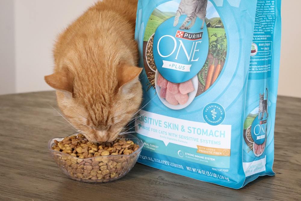 Purina One Plus Sensitive Skin & Stomach