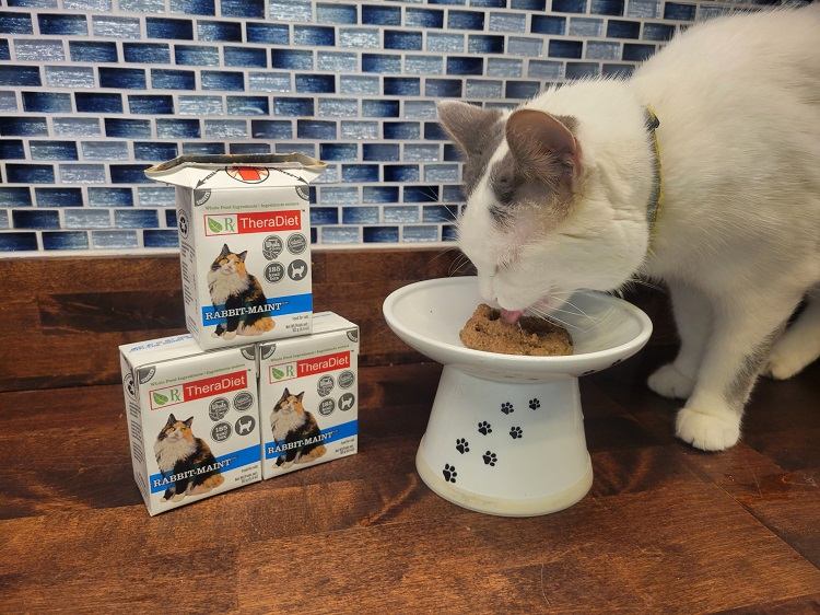 Rabbit-MAINT Chunky Stew Cat Food