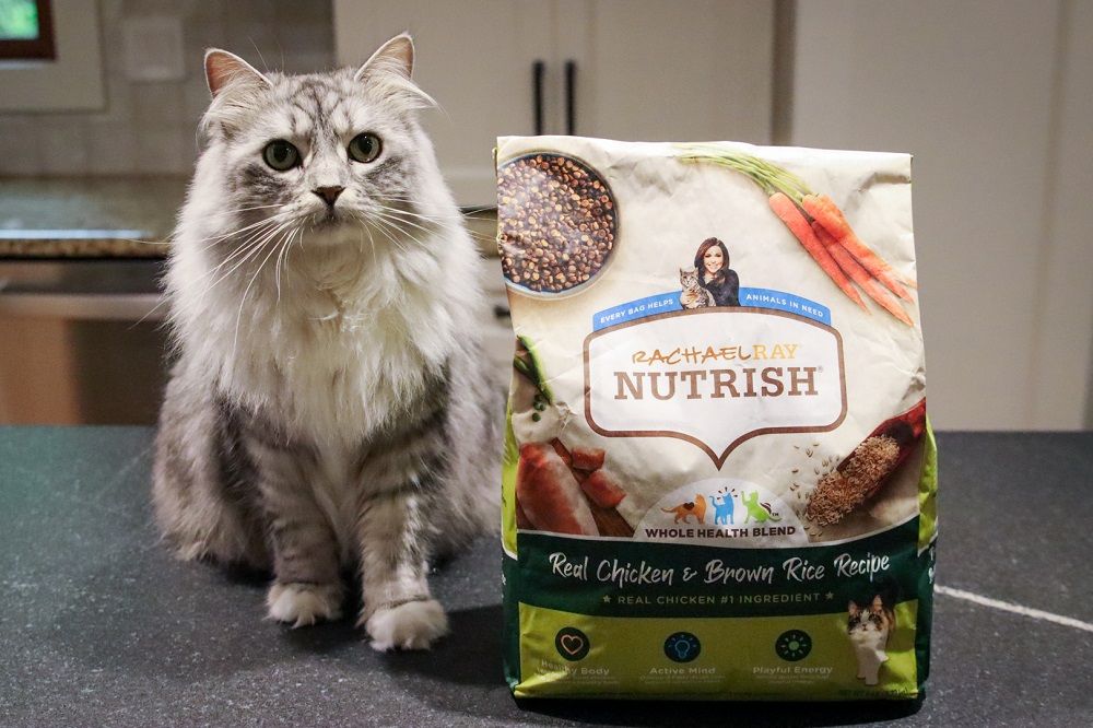 Rachael Ray Nutrish Real Chicken & Brown Rice Recipe Dry Cat Food