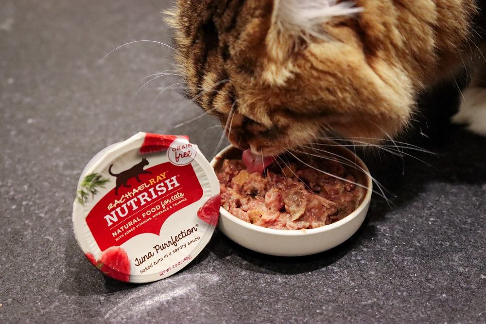 Rachael Ray Nutrish Tuna Purrfection Grain-Free Wet Cat Food